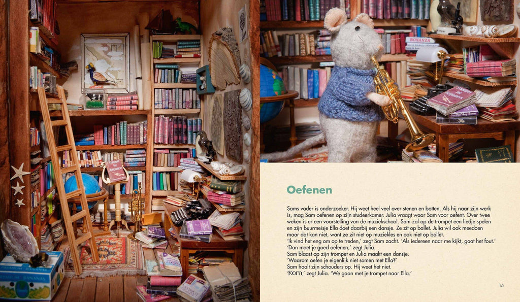 Kinderboek - Het Theater (Nederlandstalig) - Het Muizenhuis