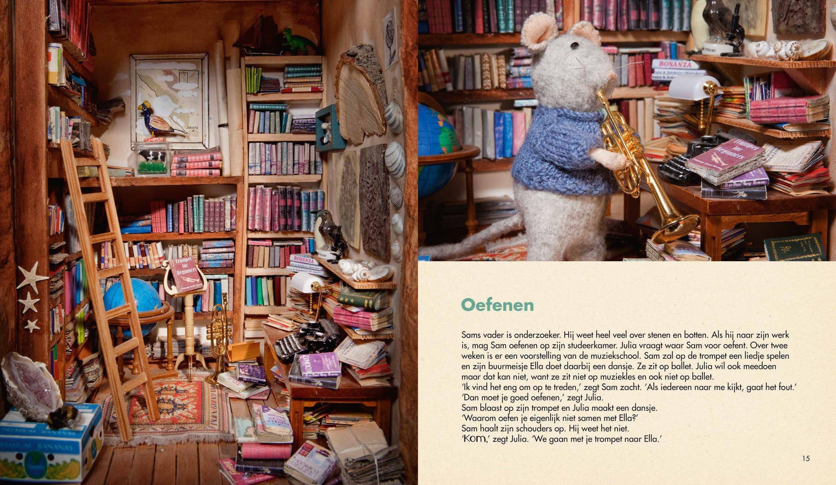 Kinderboek - Het Theater (Nederlandstalig) - Het Muizenhuis