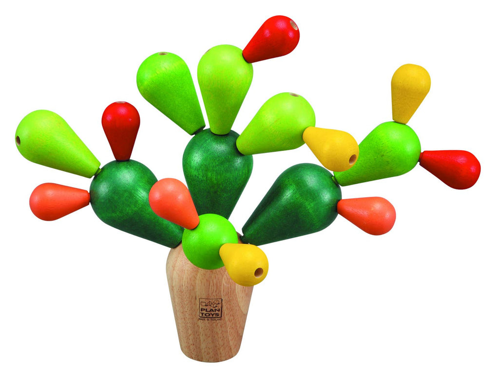 Mikado Cactus