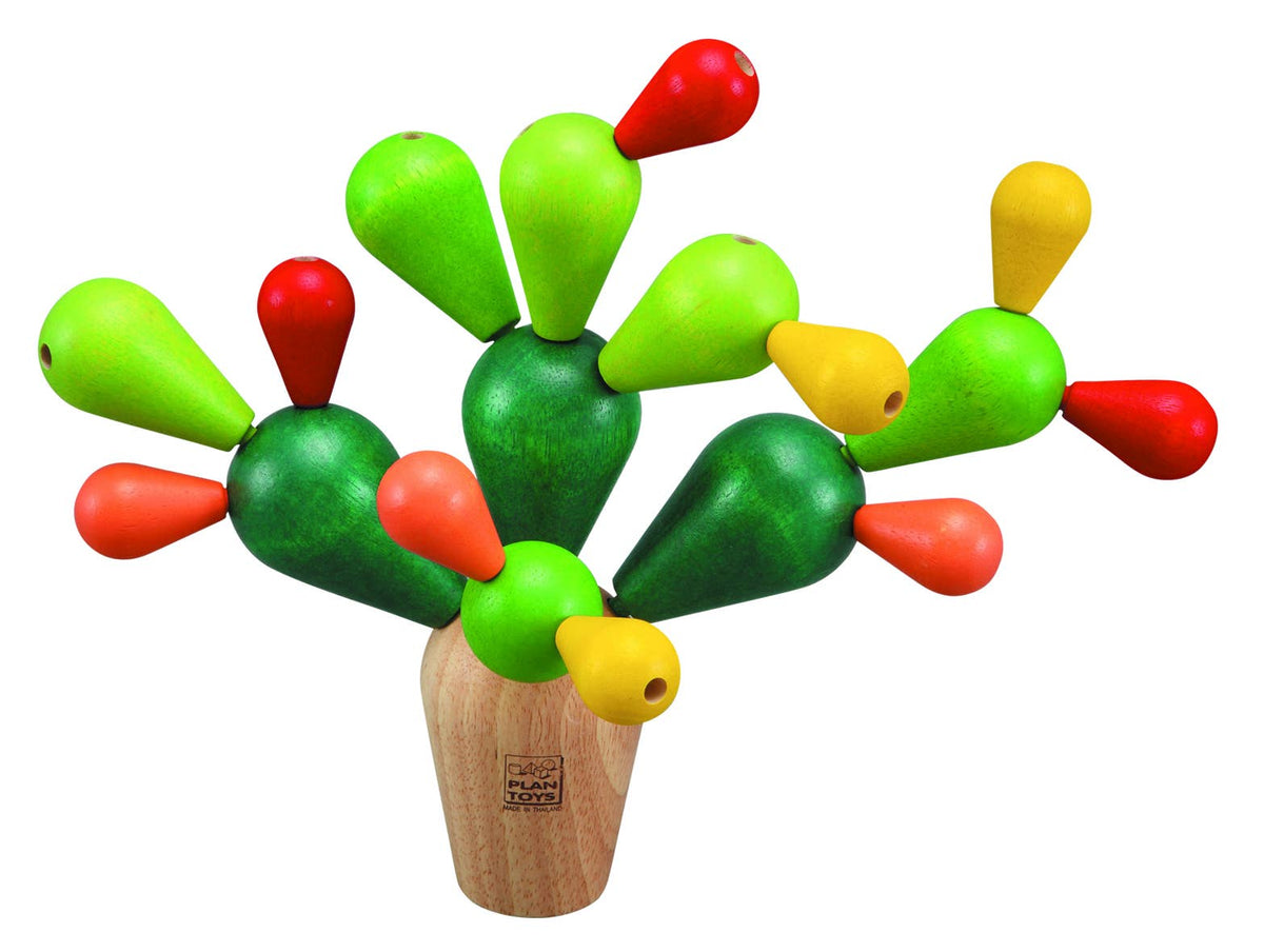 Mikado Cactus