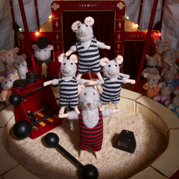 Kinderboek Het Muizenhuis - Het circus (Nederlandstalig)