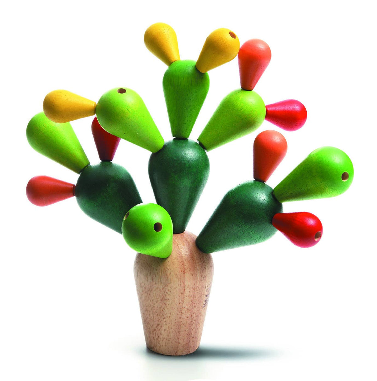 Mikado Cactus