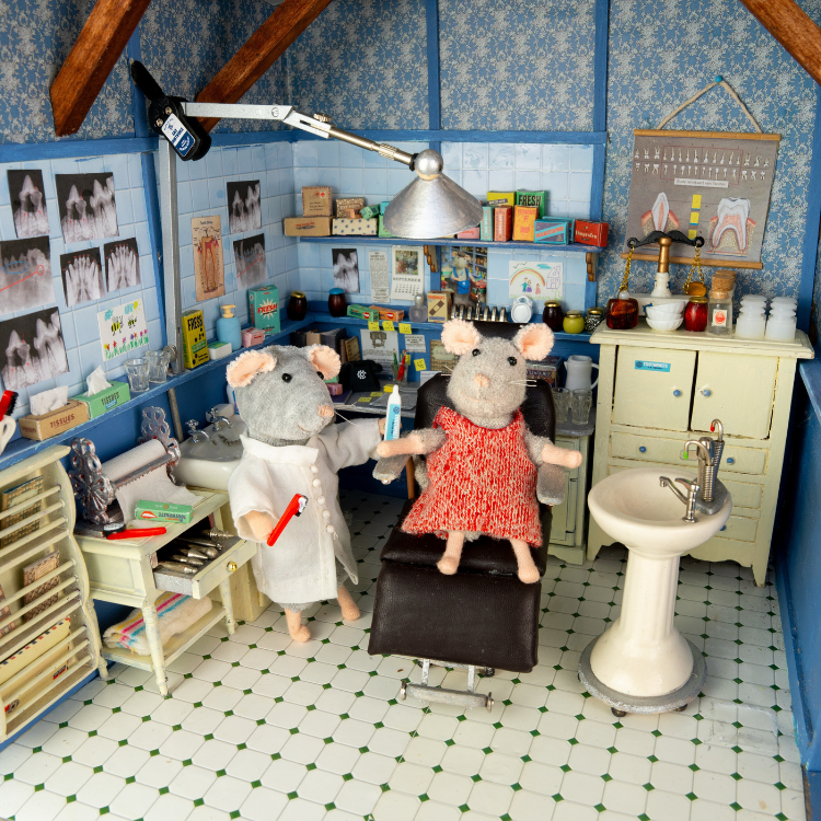 Kinderboek - Sam & Julia - Tandenmuis (Nederlandstalig)