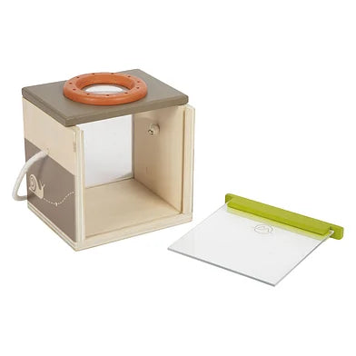 Houten Insectendoos