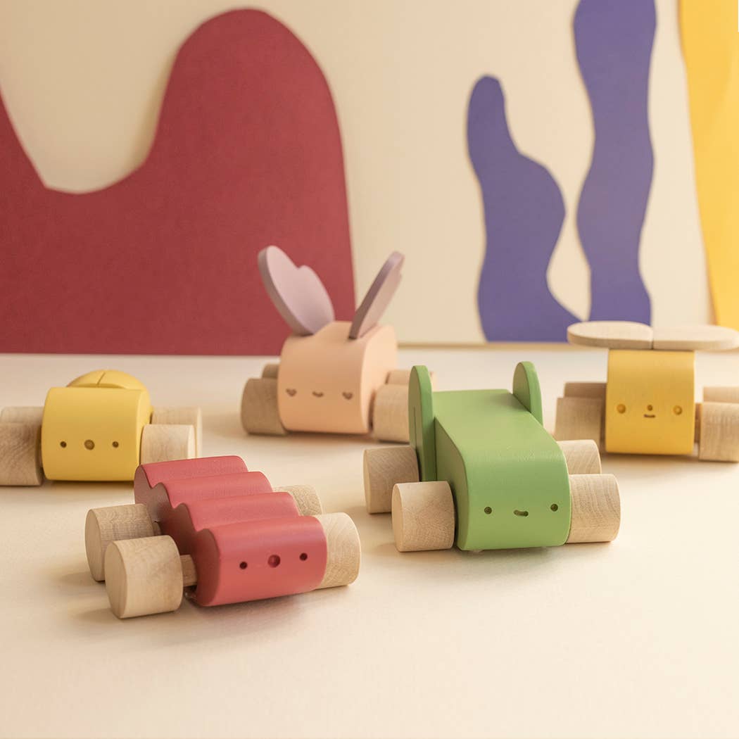 Houten insecten auto's