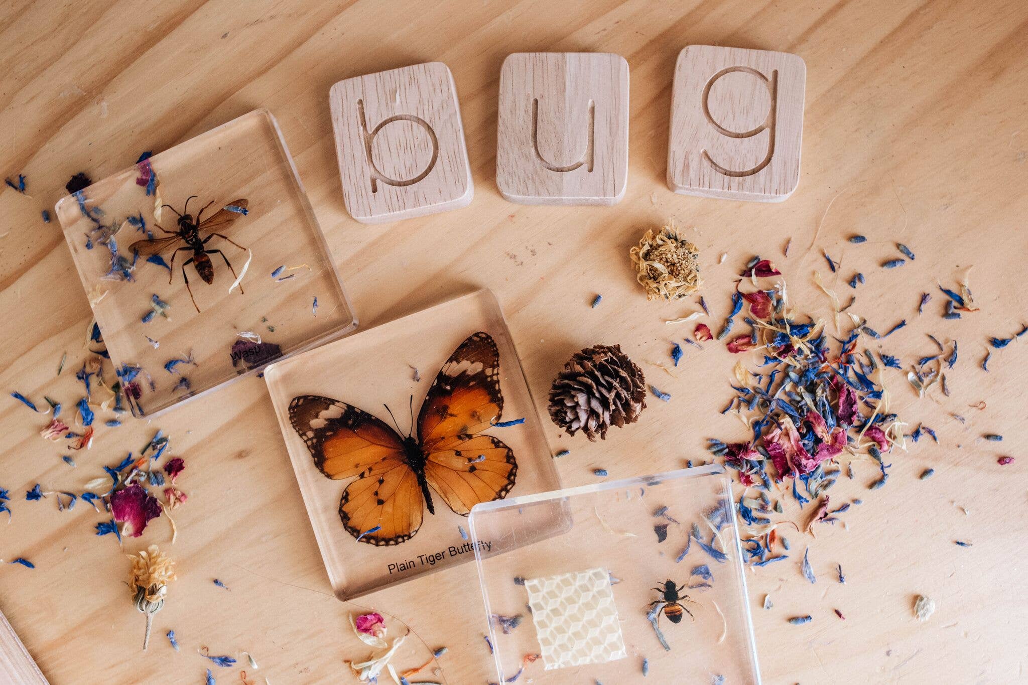 Bouwpakket voor Word