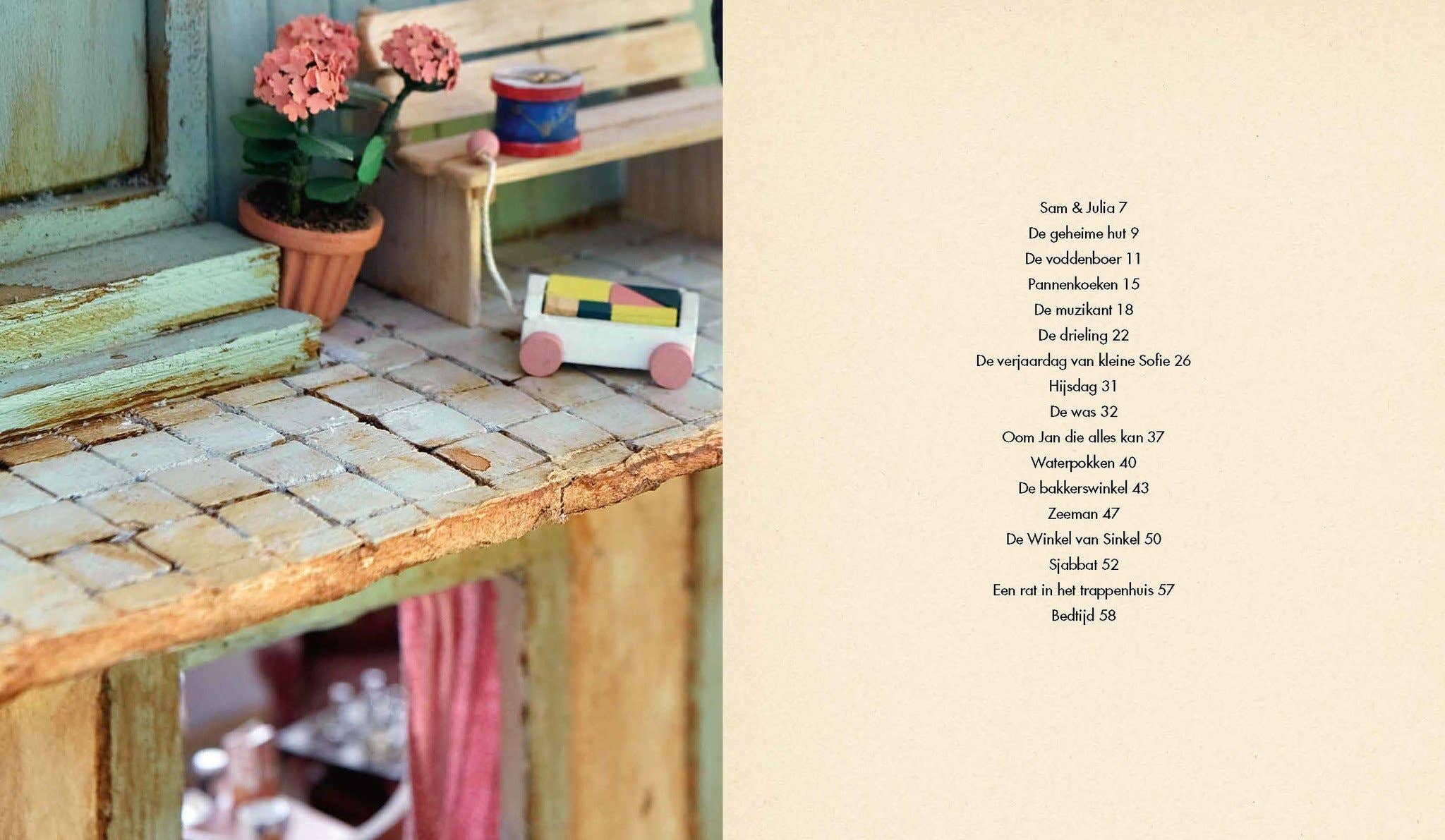 Kinderboek - Sam en Julia - Het Muizenhuis