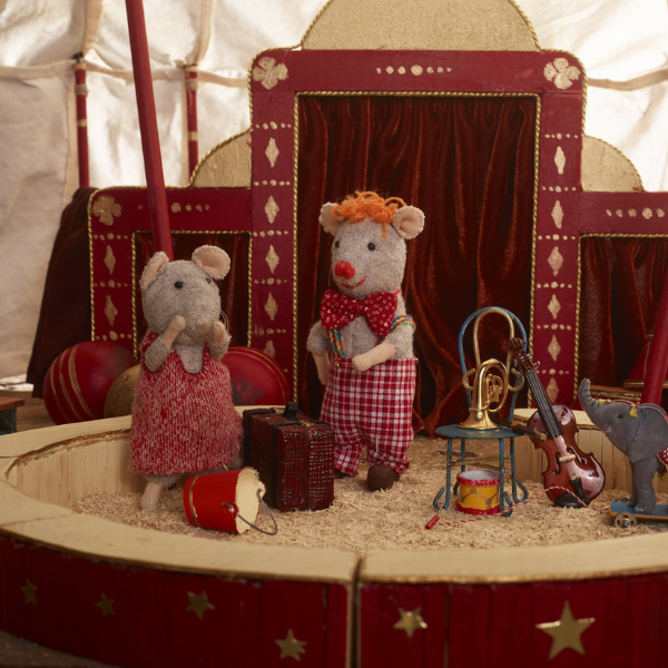 Kinderboek Het Muizenhuis - Het circus (Nederlandstalig)